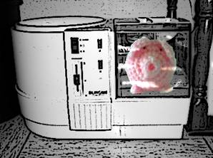 Ein haekelschwein schaut aus einer mysteriösen Haushaltsmaschine heraus.