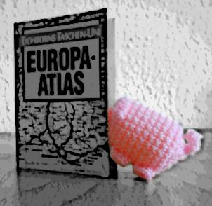 Ein haekelschwein steckt die Nase in einen kleinen Europa-Atlas.
