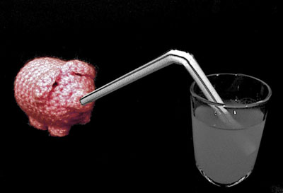 Ein haekelschwein trinkt mit einem Strohhalm aus einem Glas.